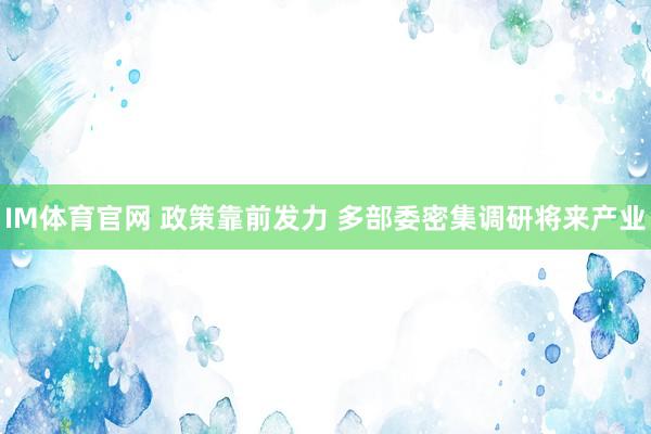 IM体育官网 政策靠前发力 多部委密集调研将来产业