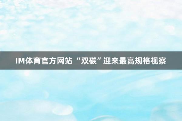 IM体育官方网站 “双碳”迎来最高规格视察
